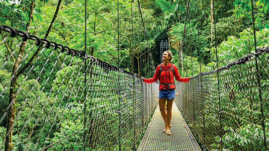 Rainforest canopy walkway Costa Rica.