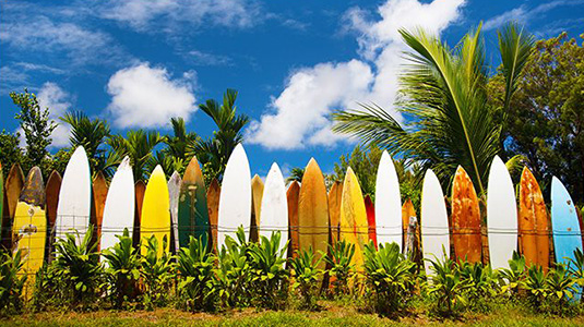 Surf boards displayed in tropics.  